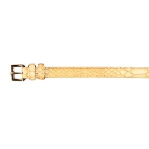 Chic Tan Belt for Women